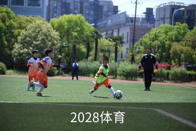 2028体育公司简介图片